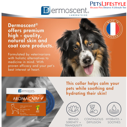 Dermoscent Aromacalm Natural Calming Collar for Dogs  – Anxiety & Stress Control (60cm)