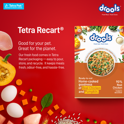 Drools Tetra Pack Real Chicken Pumpkin Wet Dog Food