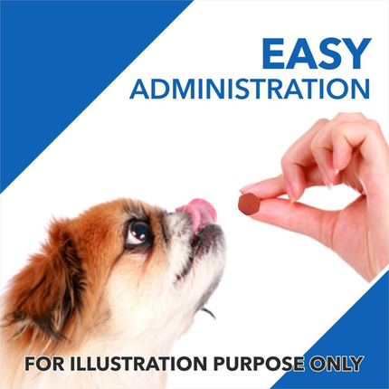 Drools Absolute Vitamin Tablet Dog Supplement for Dogs