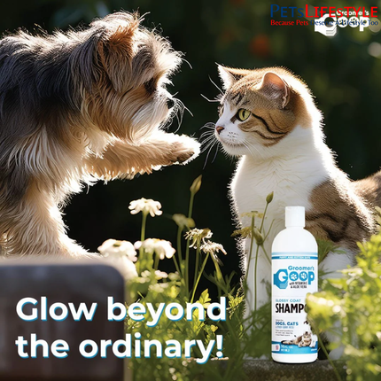 Groomer's Goop Glossy Coat Shampoo for Dogs & Cats – 473 ml