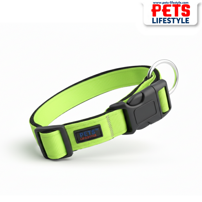 PᴇᴛsLɪғᴇsᴛʏʟᴇ Black & Lime Green Dog Collar