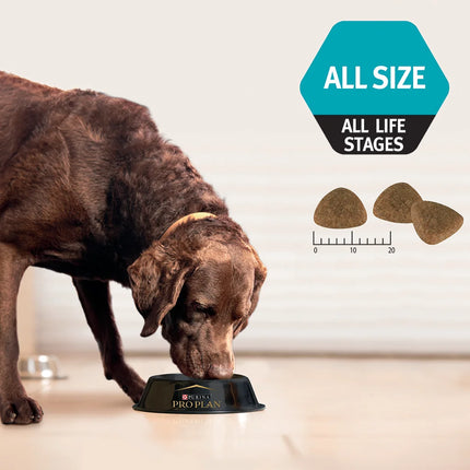 PURINA Pro Plan Performance Dry Dog Food For All Life Stages Chicken 12 Kg