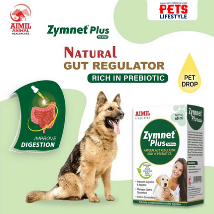 Aimil Zymnet Plus Digestive Drops (60 ml)