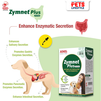 Aimil Zymnet Plus Digestive Drops (60 ml)
