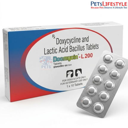 Alembic Docmycin-L packaging with composition and dosage label