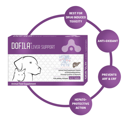 Aranex Dofila Liver Support Tablet