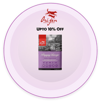 Original Dog Dry Food