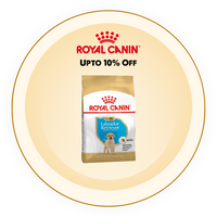 Royal Canin Pet Food