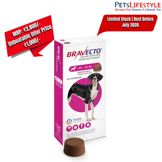 Bravecto Tick & Flea Chewable Tablet For Dogs Weighing 40 - 56 kg   Expiry: July 2026
