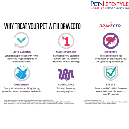 MSD Animal Health Bravecto Plus (Brand MSD) 250mg (2.8 - 6.25 kg) (Fluralaner) Spot On Solution Cats Advanced Parasite Protection