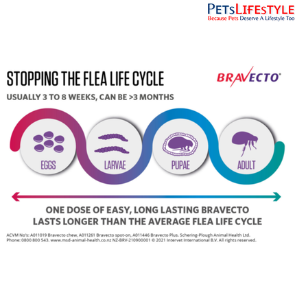 MSD Animal Health Bravecto Plus (Brand MSD) 250mg (2.8 - 6.25 kg) (Fluralaner) Spot On Solution Cats Advanced Parasite Protection
