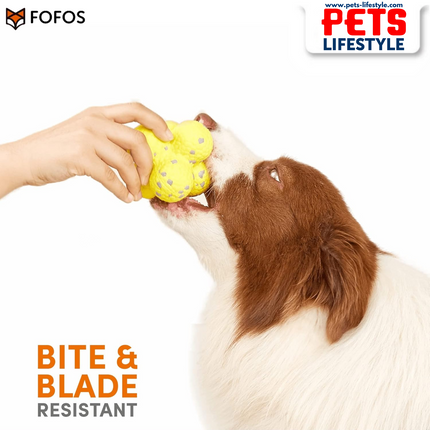 Fofos Ultra-Durable Dog Ball