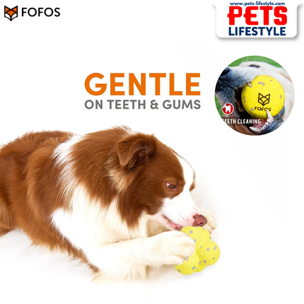 Fofos Ultra-Durable Dog Ball