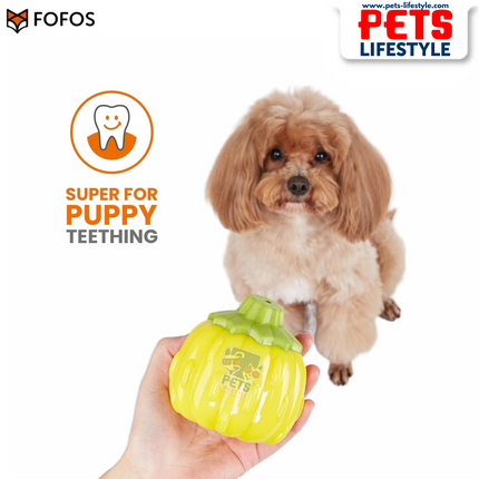 Fofos Giggling Vegi-Bites (Pumpkin ) fun chew toy