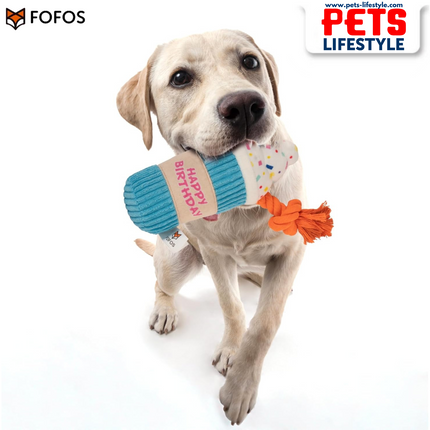 FOFOS Birthday Drink Plush Dog Toy – Soft & Squeaky Rope Toy | Birthday Gift