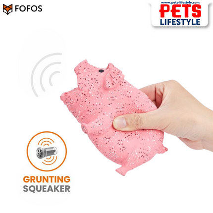 FOFOS Latex Chew Toys for Dogs – 100% Natural Latex with Grunting Squeaker