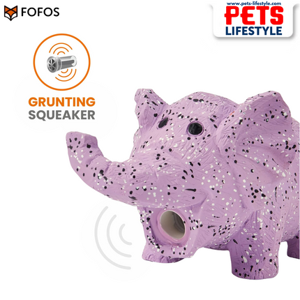 FOFOS Latex Chew Toys for Dogs – 100% Natural Latex with Grunting Squeaker