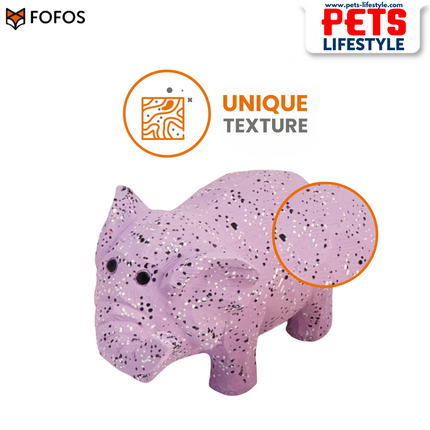 FOFOS Latex Chew Toys for Dogs – 100% Natural Latex with Grunting Squeaker