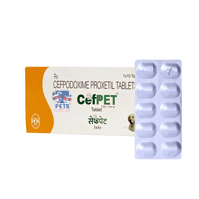CefPET Tablet 100mg