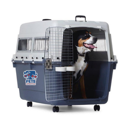 Canine Desk Flight Carrier - 24