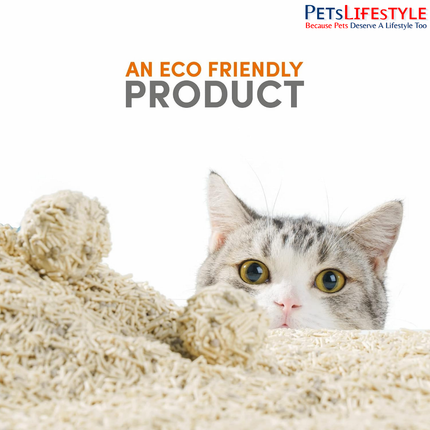 Cat using a litter box filled with FOFOS tofu and bentonite litter