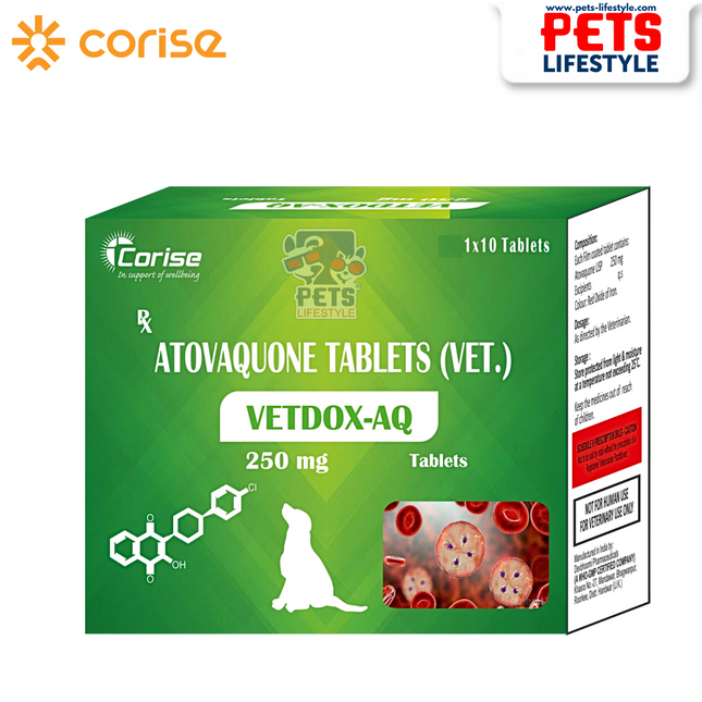 Vetdox - AQ 250mg | Atovaquone-Based Protozoal Infection Control – 10 Tablets