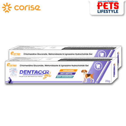 Dentacor Oral Gel for Pets – Antiseptic & Pain Relief for Gum Infections (20g)