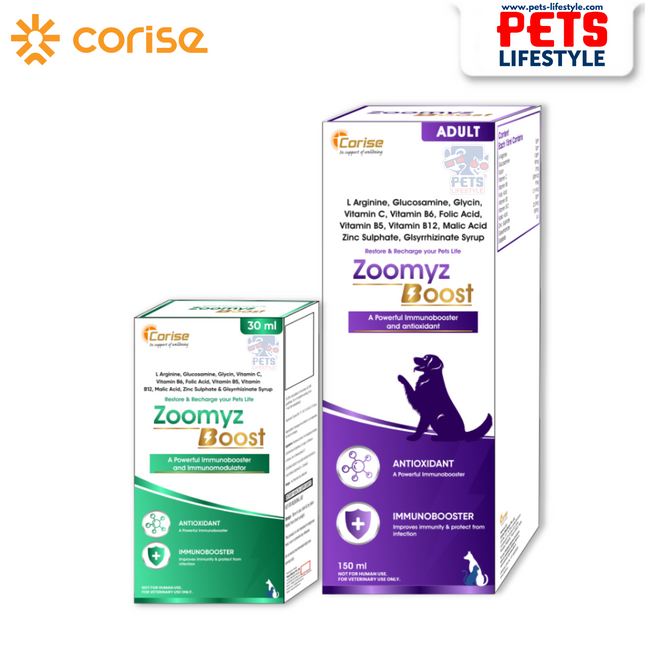 Zoomyz Boost Syrup – Advanced Antioxidant & Immunity Supplement