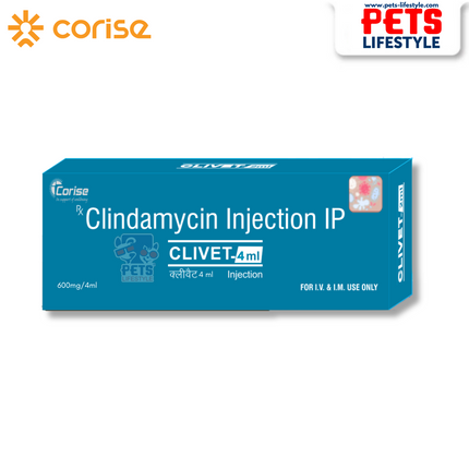 Clivet Injection – Clindamycin 300mg/2ml & 600mg/4ml | Fast-Acting Antibiotic for Pets