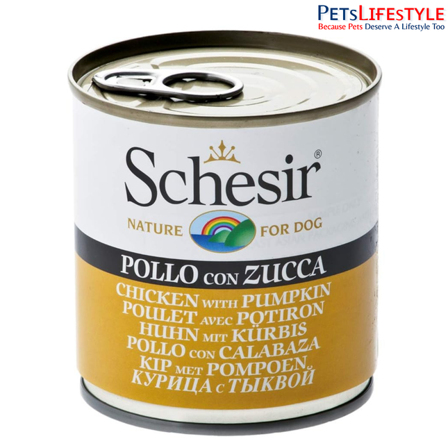 Schesir Chicken with Pumpkin Wet Food for Dogs, Real Meat Fillets in Jelly, Natural Protein-Rich Dog Food with Vegetables & Vitamins, 285 g (Chicken with Pumpkin)