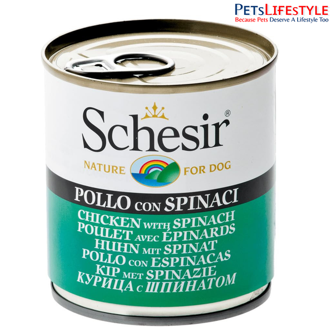 Schesir Chicken & Rice with Spinach Wet Food for Dogs – Real Chicken Fillets in Jelly | 285g
