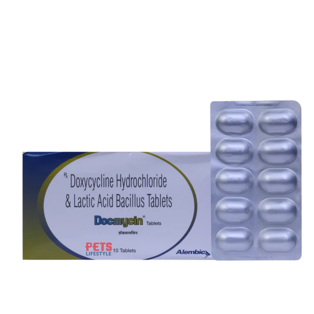 Alembic Docmycin 10 Tab - 300mg