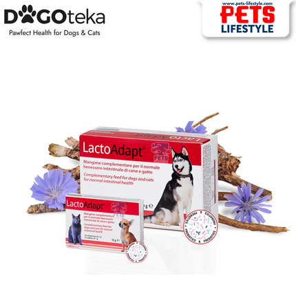 Dogoteka LactoAdapt – Prebiotics & Probiotics for Gut Health in Dogs and Cats (15 / 60 Tablets)