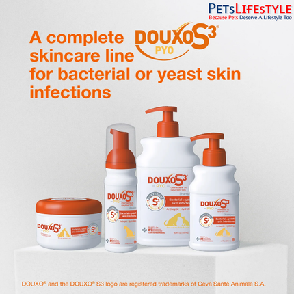 DOUXO S3 PYO shampoo used on a cat during a medicated bath