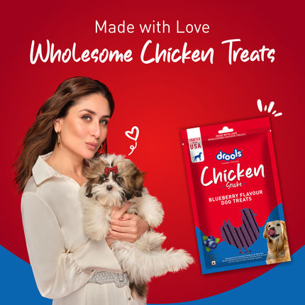 Drools Chicken Blueberry Flavor Dog Treats Sticks 100g