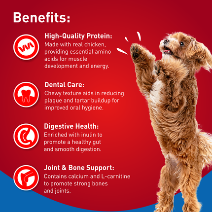 Drools Chicken Blueberry Flavor Dog Treats Sticks 100g