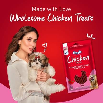 Drools Chicken Strawberry Flavor Dog Treats Sticks 100g