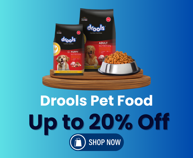 Pets Lifestyle Online Pet Store Shop Pet Supplies and Products