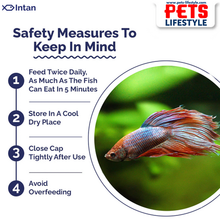 Intan Betta Pellets (Floating Pellets)