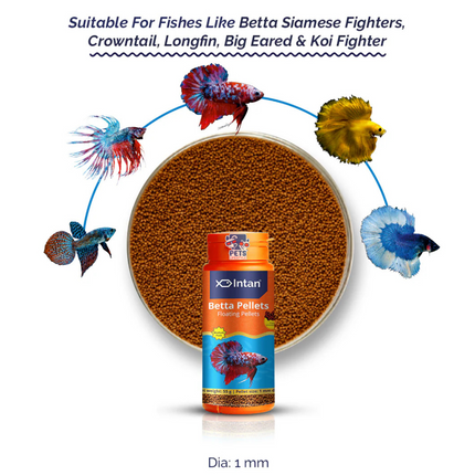 Intan Betta Pellets (Floating Pellets)