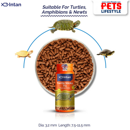 Growel Intan Sticks Food for Turtle (Big Floating Sticks)