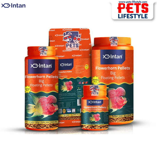 Intan Flower horn Pellets (Big Floating Pellets)