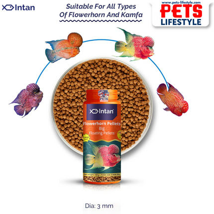 Intan Flower horn Pellets (Big Floating Pellets)