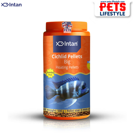 Intan Cichlid Pellets (Big Floating Pellets)