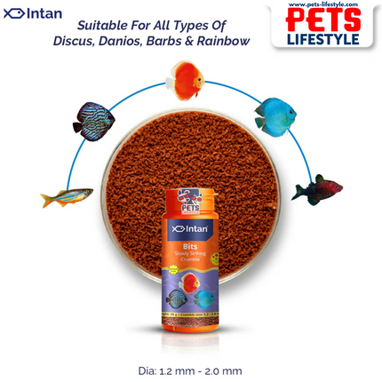 Intan Bits (Slow Sinking Crushable Crumble)