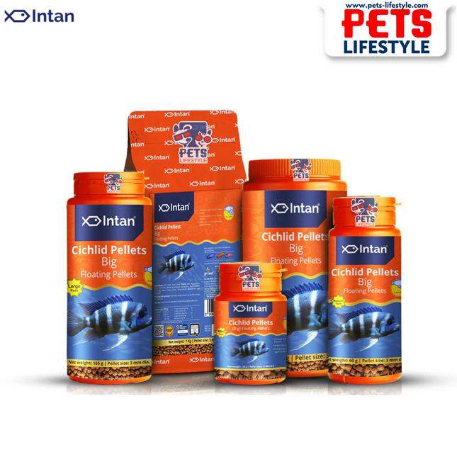 Intan Cichlid Pellets (Big Floating Pellets)