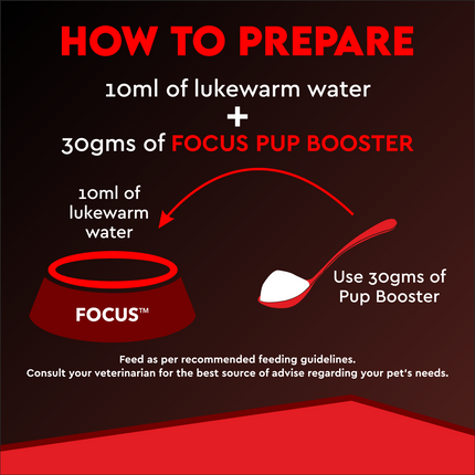 Drools Focus Pup Booster - Puppy Weaning Diet for all Breeds - 300 g