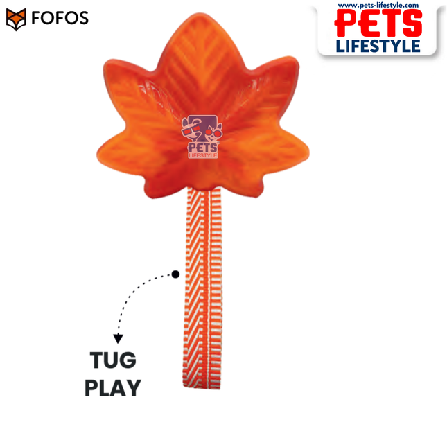 FOFOS Harvest Maple Leaf With Rope + Dental Health Chew Toy