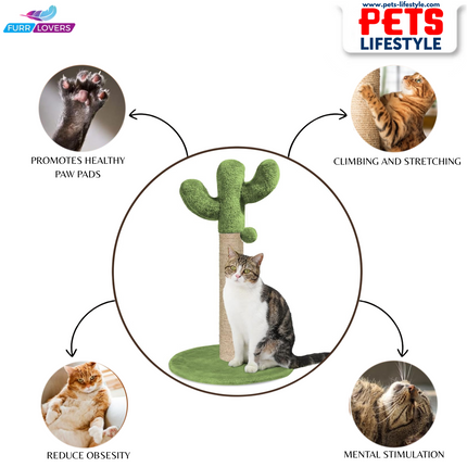 FURRLOVERS Cactus Cat Scratching Post with Climbing Tower & Plush Green Top(20x16 inch)