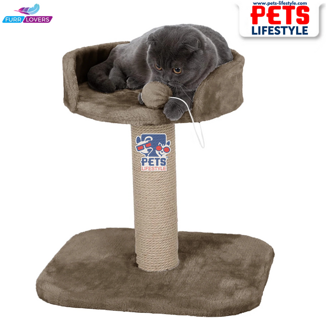 Canine Desk Activity Kitten Cat Tree  Hanging Ball | Top Seat | Jute Rope Scratching Post